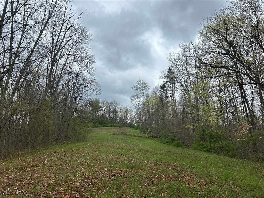 331 Southeast Township Road Corning, OH 43730 - Photo 2 of 27