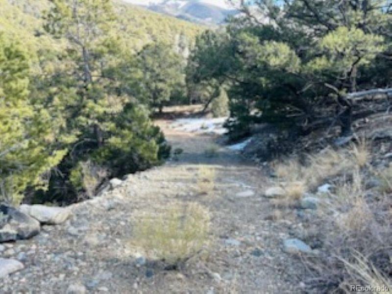 184 Cedar Ridge Road Mosca, CO 81146 - Photo 12 of 15