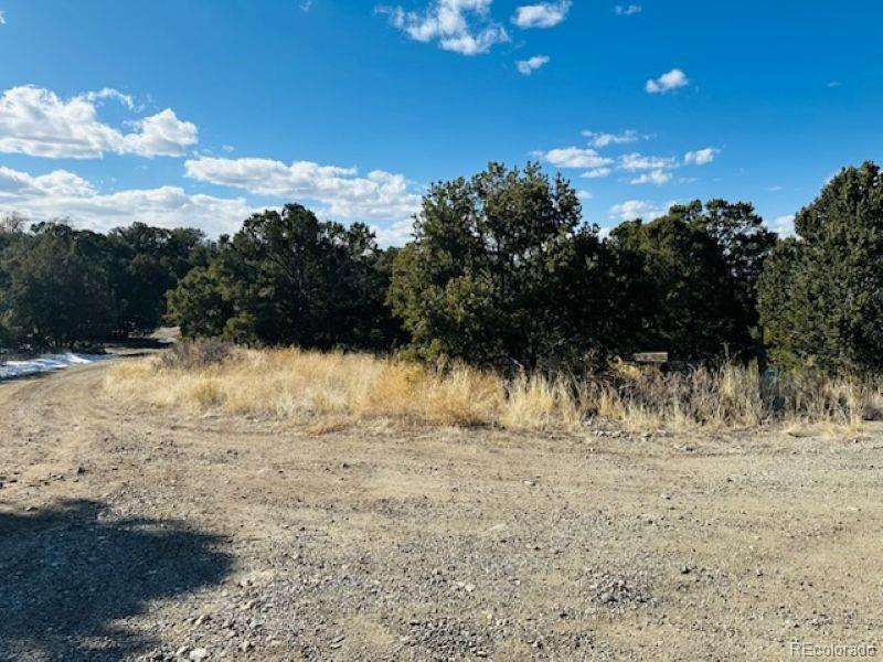 184 Cedar Ridge Road Mosca, CO 81146 - Photo 14 of 15