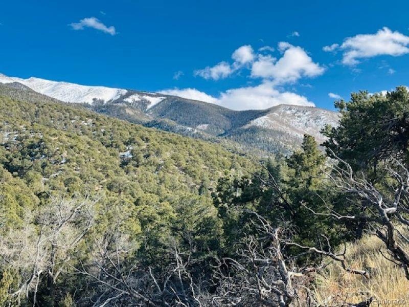 184 Cedar Ridge Road Mosca, CO 81146 - Photo 4 of 15