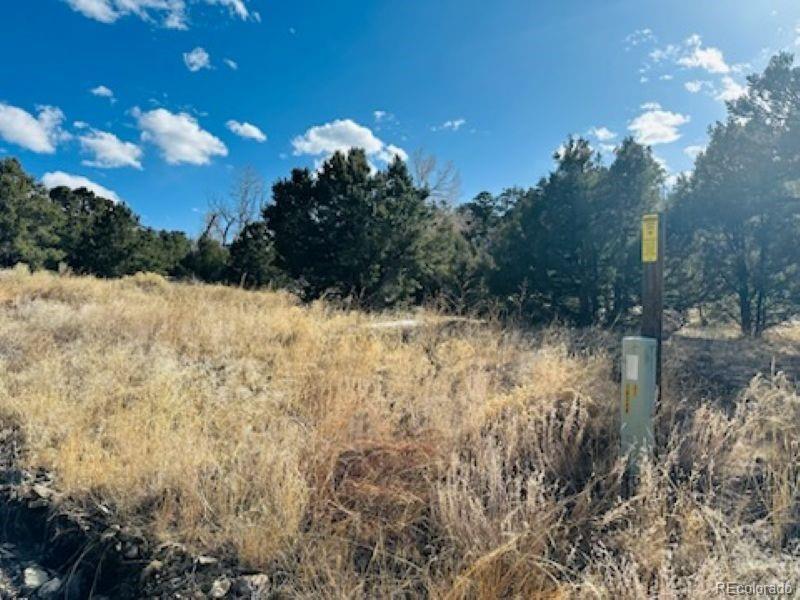 184 Cedar Ridge Road Mosca, CO 81146 - Photo 5 of 15