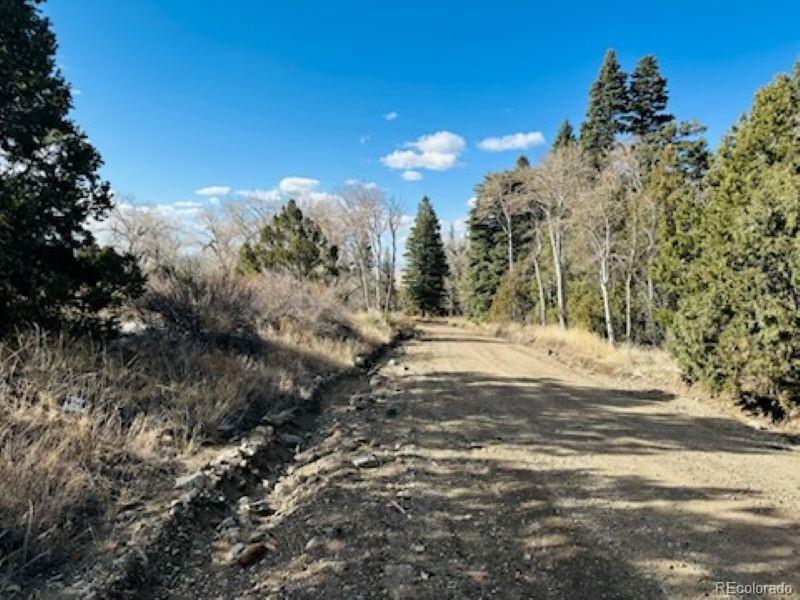 184 Cedar Ridge Road Mosca, CO 81146 - Photo 6 of 15