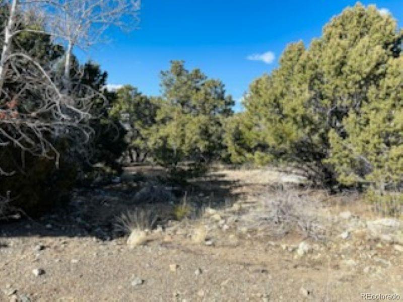 184 Cedar Ridge Road Mosca, CO 81146 - Photo 8 of 15