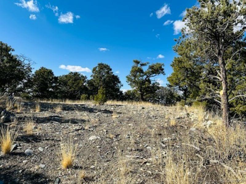 184 Cedar Ridge Road Mosca, CO 81146 - Photo 9 of 15