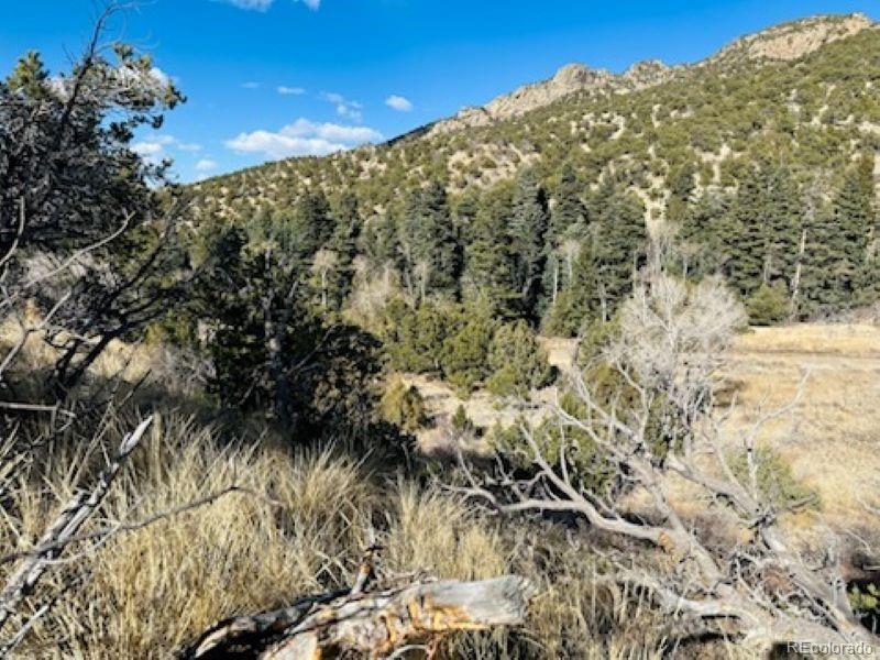 184 Cedar Ridge Road Mosca, CO 81146 - Photo 10 of 15