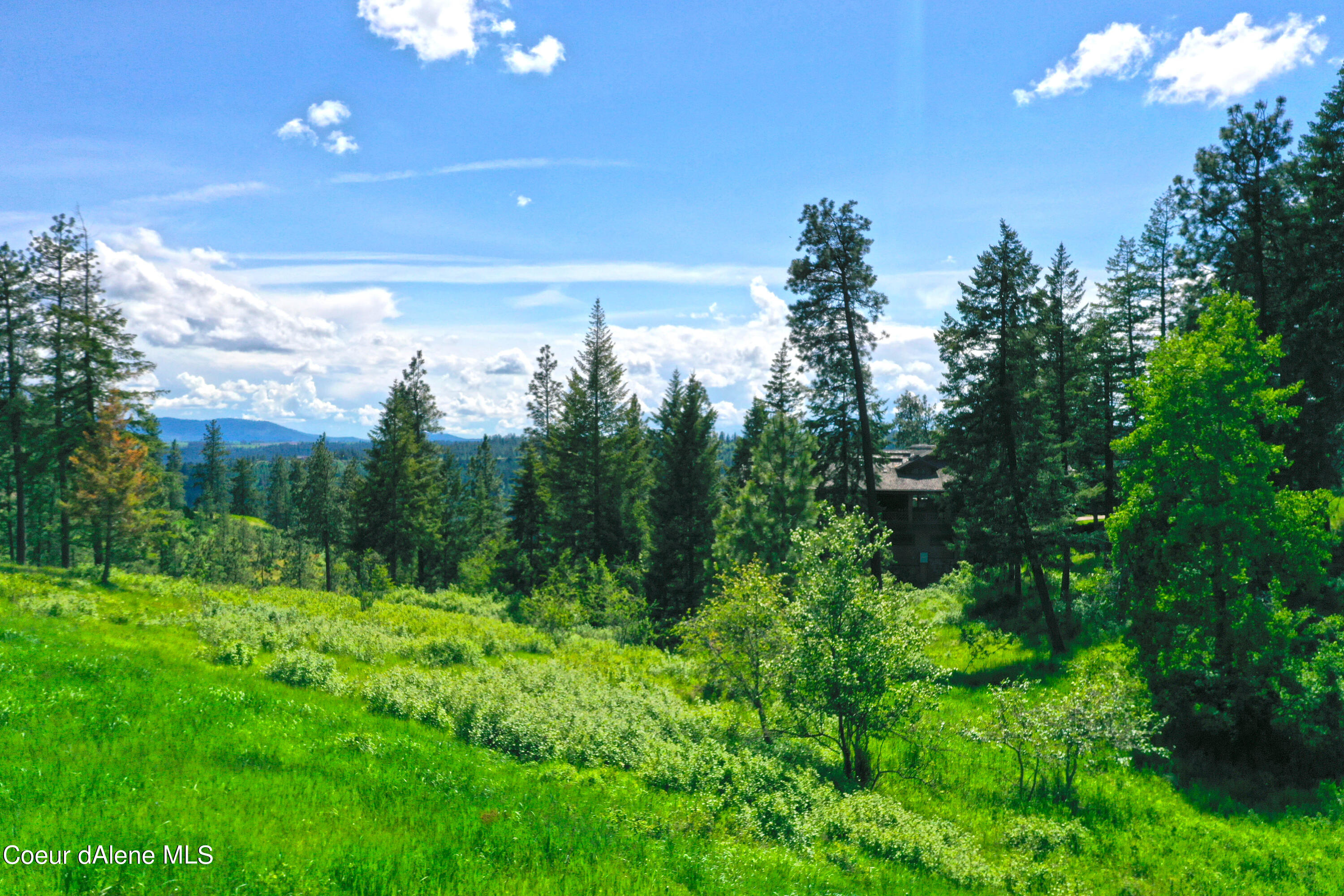 L181 South Basonite Court Coeur D'Alene, ID 83814 - Photo 3 of 23 Picturesque Surroundings