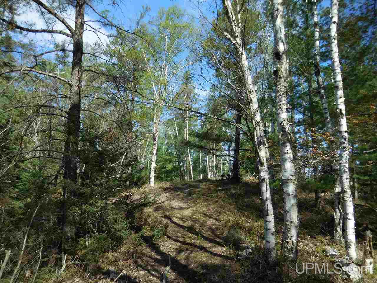1480 Acres On Co Road Manistique, MI 49854 - Photo 32 of 49