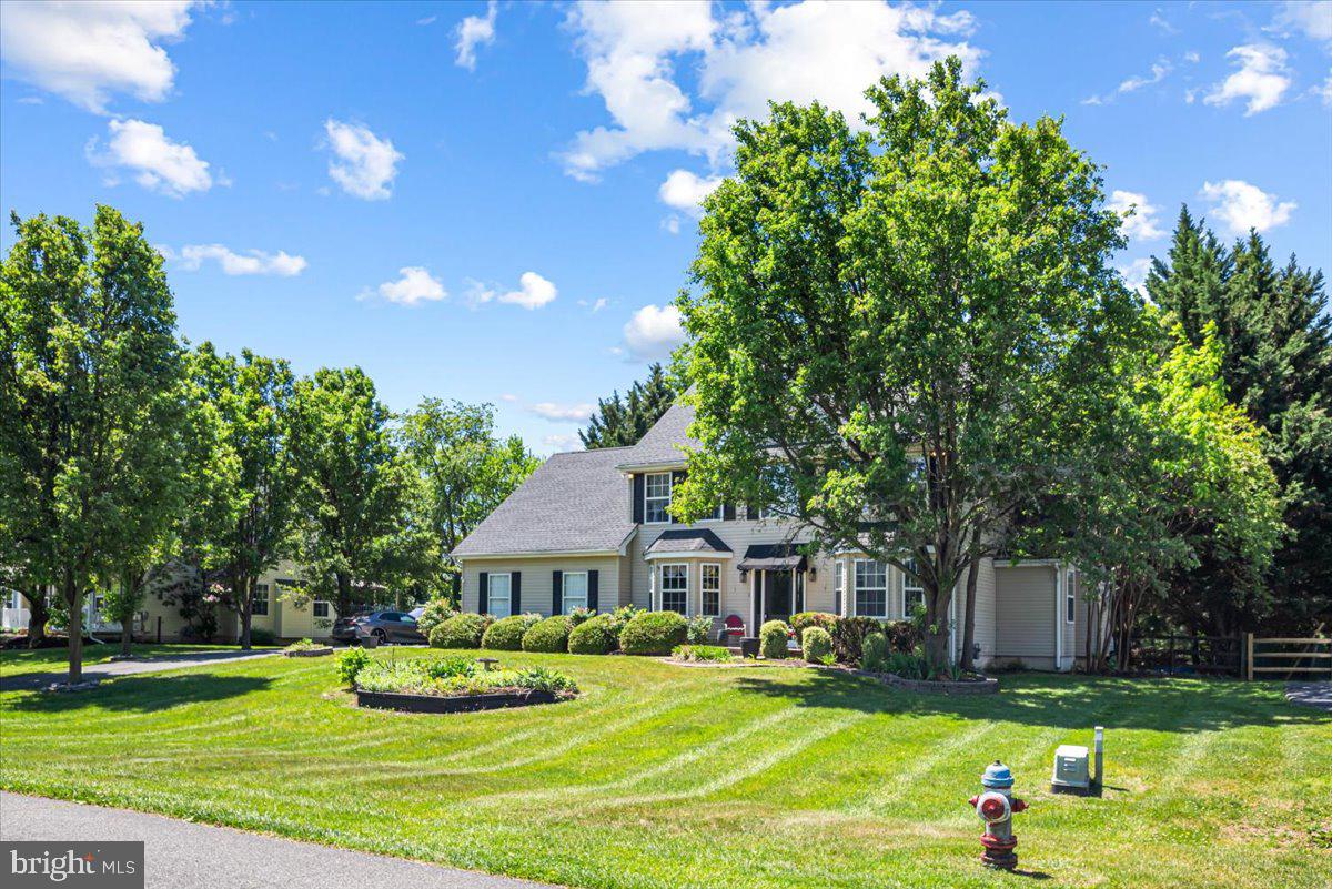 338 Canvasback Road Middletown, DE 19709 - Photo 4 of 47