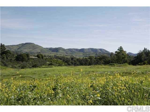 6710 El Montevideo Rancho Santa Fe, CA 92067 - Photo 18 of 20 a view of an outdoor space and a yard