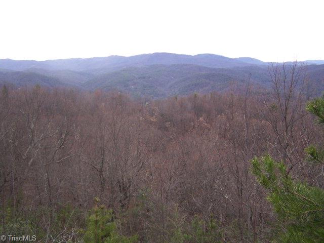 77 Bobcat Mountain Road Purlear, NC 28665 - Photo 1 of 7 Main View