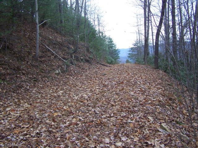 77 Bobcat Mountain Road Purlear, NC 28665 - Photo 2 of 7