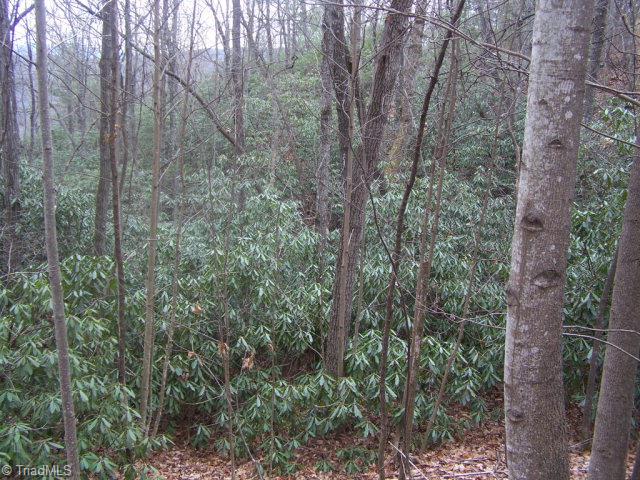77 Bobcat Mountain Road Purlear, NC 28665 - Photo 3 of 7