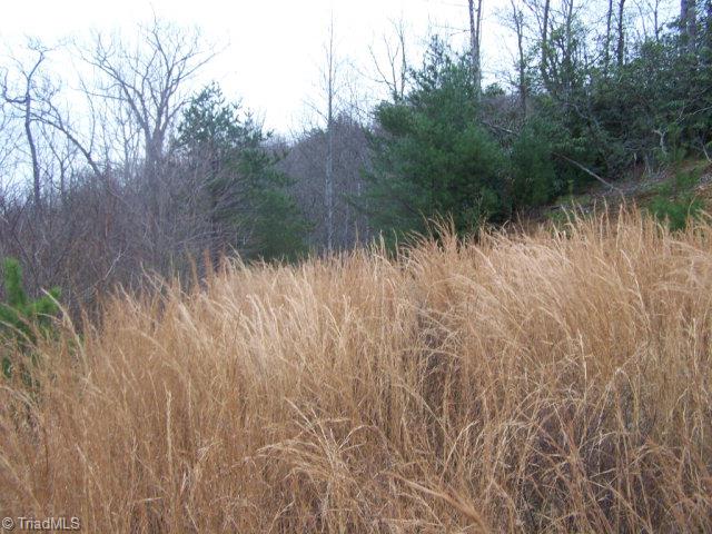 77 Bobcat Mountain Road Purlear, NC 28665 - Photo 5 of 7