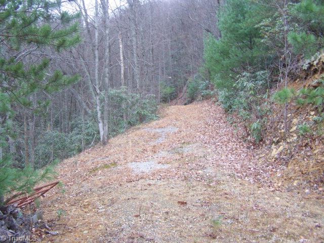 77 Bobcat Mountain Road Purlear, NC 28665 - Photo 6 of 7