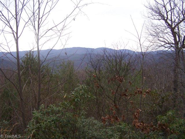 77 Bobcat Mountain Road Purlear, NC 28665 - Photo 7 of 7