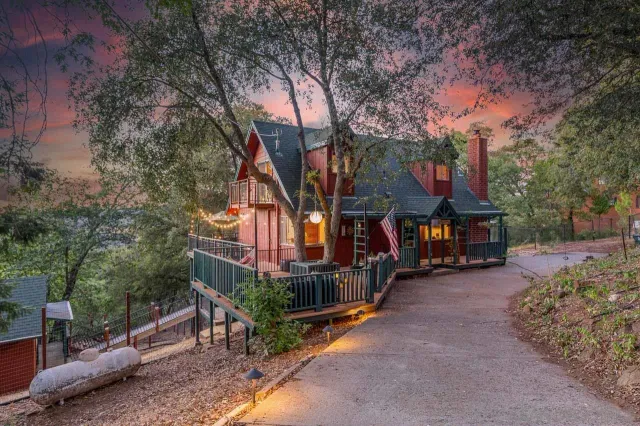 an outdoor space with lots of trees and plants