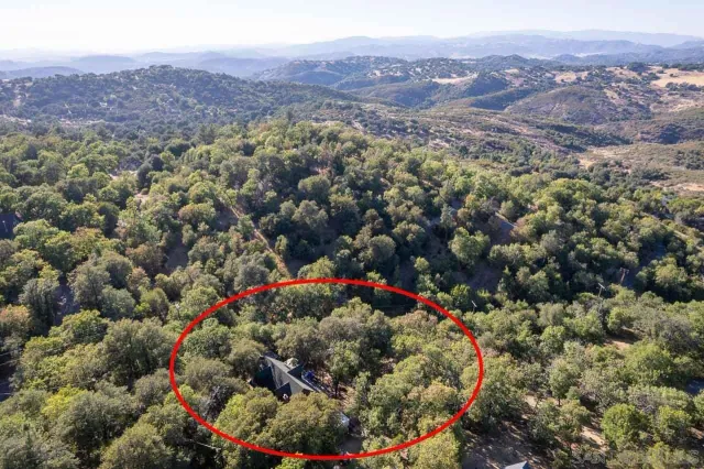 a view of a flowers in a lot