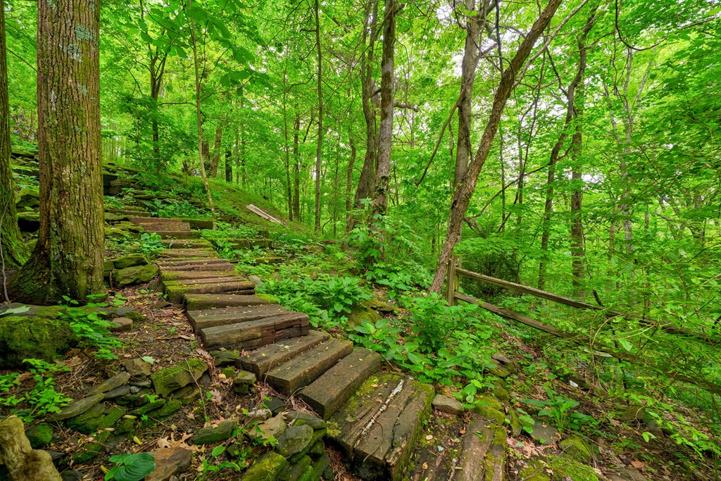 9327 Highway 52 Chatsworth, GA 30705 - Photo 8 of 43 a yard with lots of green space and trees