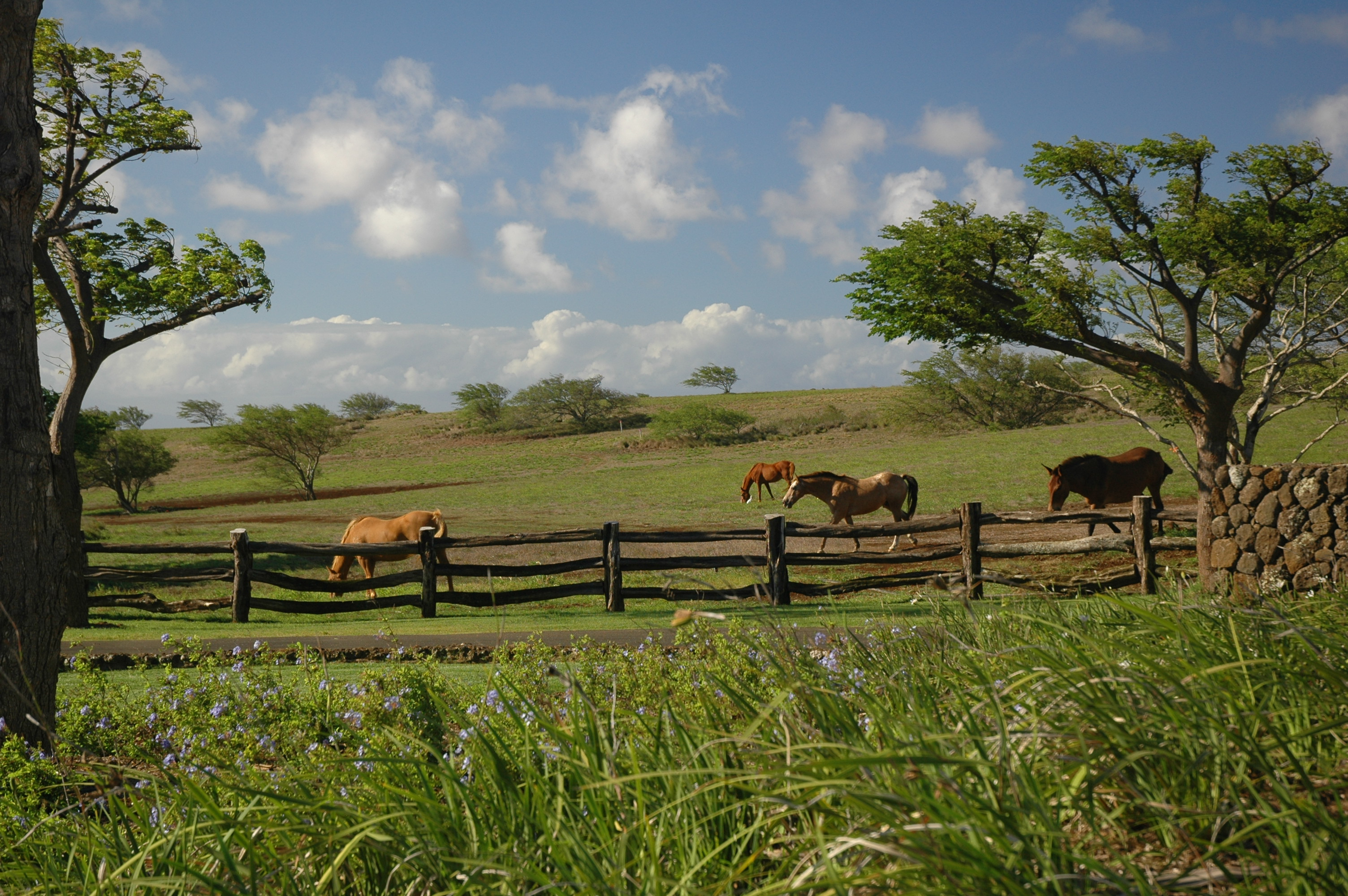 56-101 Lot 11 Pualani Road Kamuela, HI 96743 - Photo 16 of 25 a view of a lake with outdoor space