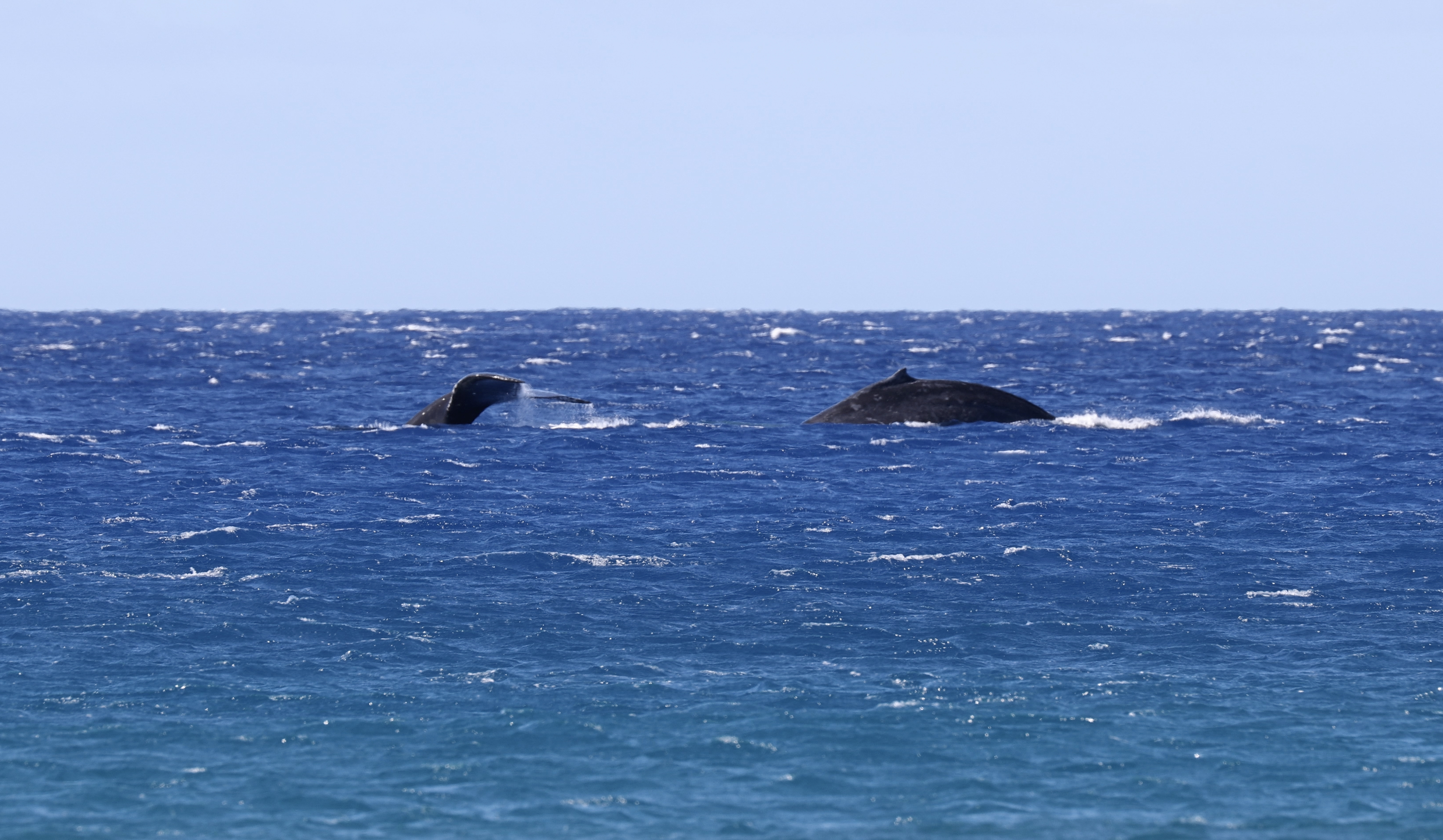 56-101 Lot 11 Pualani Road Kamuela, HI 96743 - Photo 23 of 25 a view of a dry grass field