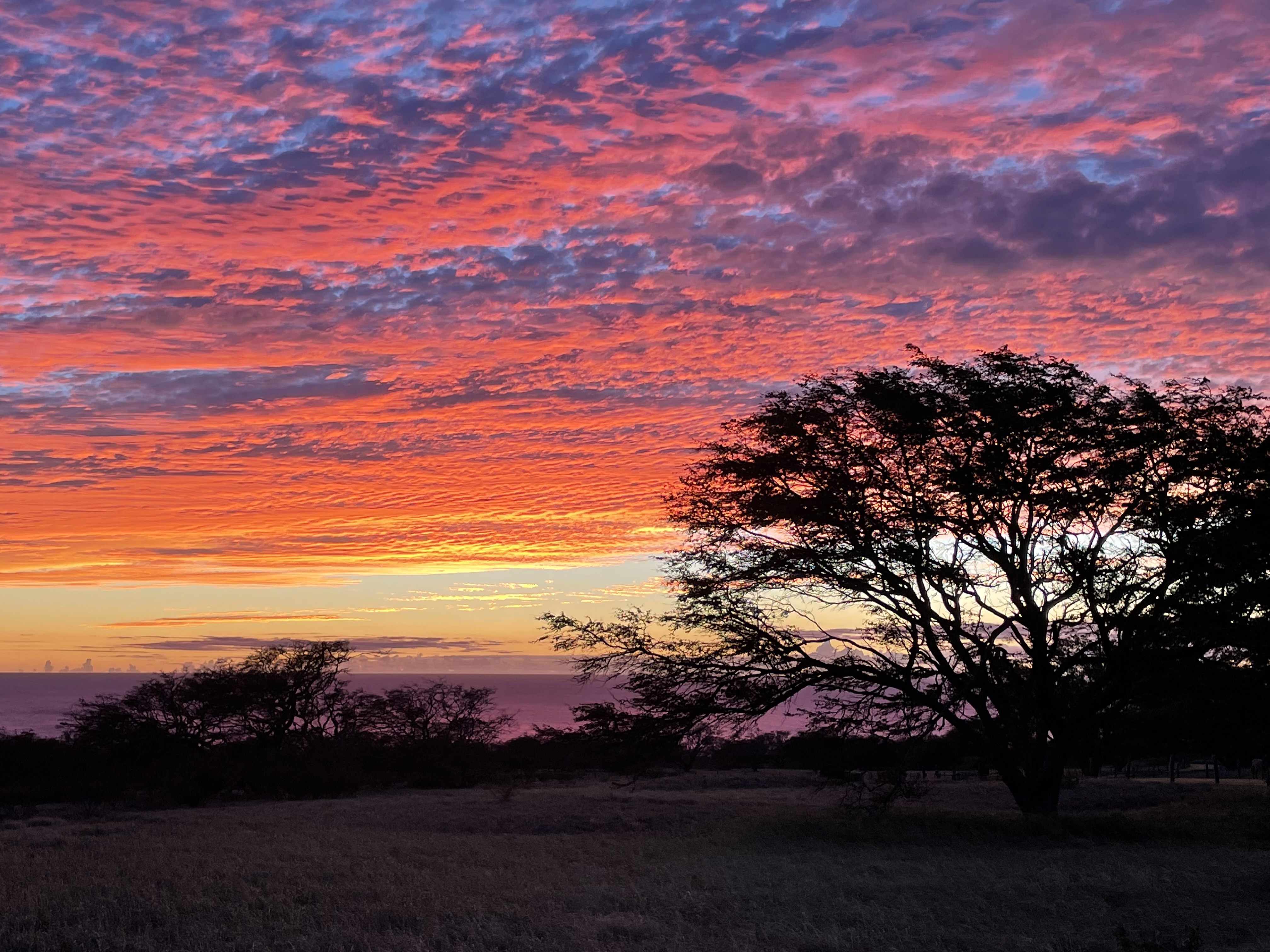 56-101 Lot 11 Pualani Road Kamuela, HI 96743 - Photo 25 of 25 a view of city and mountain