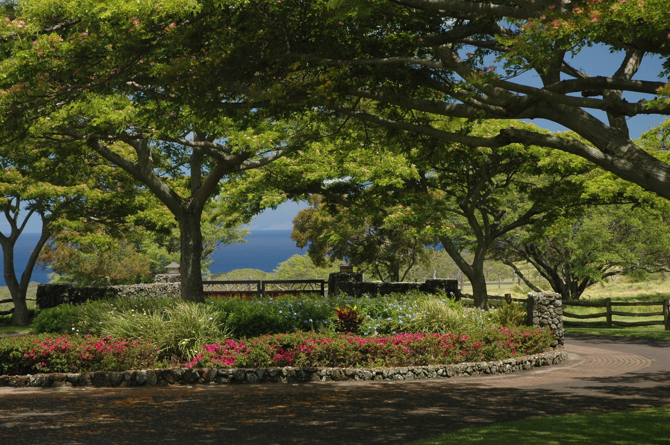 56-101 Lot 11 Pualani Road Kamuela, HI 96743 - Photo 7 of 25 a view of a garden with flowers and trees