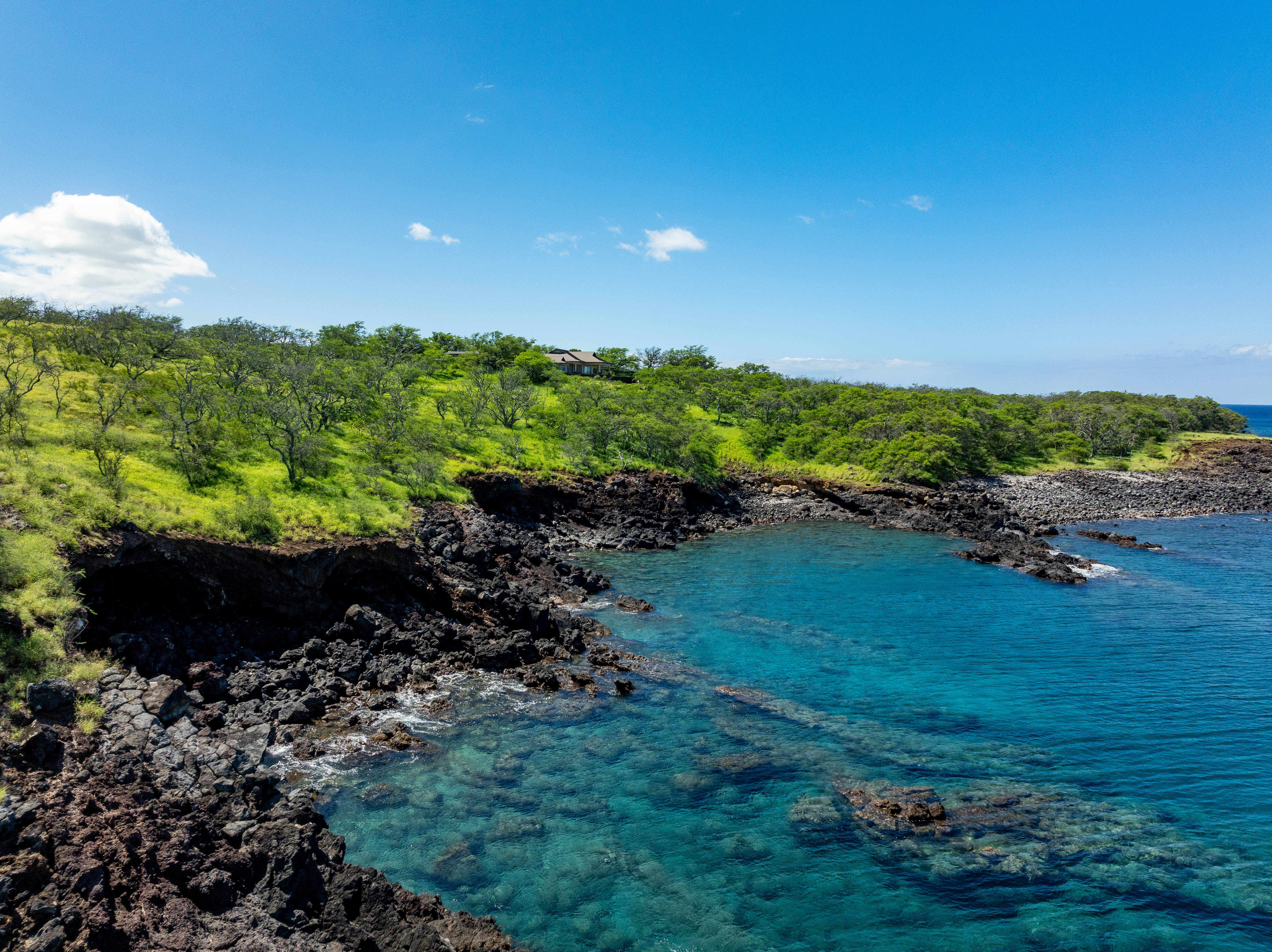 56-101 Lot 11 Pualani Road Kamuela, HI 96743 - Photo 8 of 25 a view of a garden with a lake