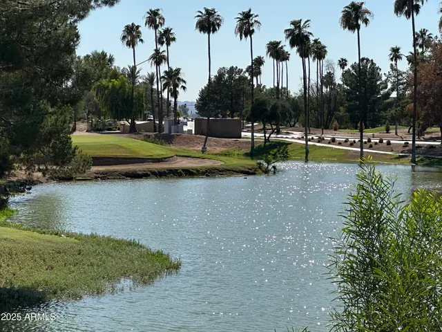 a view of a swimming pool with a yard and palm trees