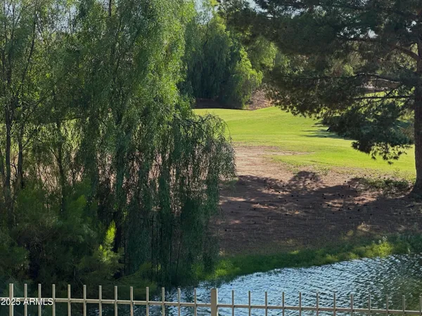 a view of a yard with an outdoor space