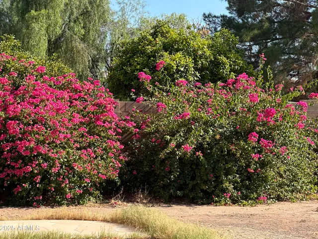 $2,700 | 1755 West Aspen Avenue, Gilbert, AZ 85233