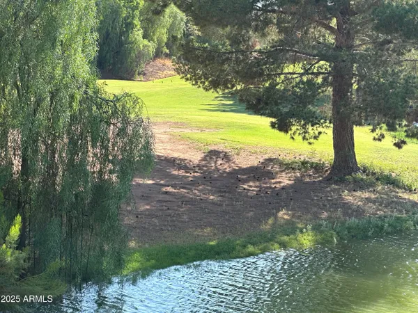 a view of a yard with an tree
