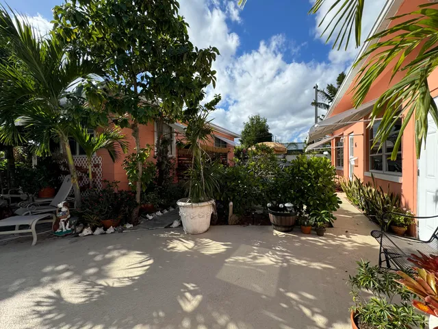 a view of a street with potted plants and large trees