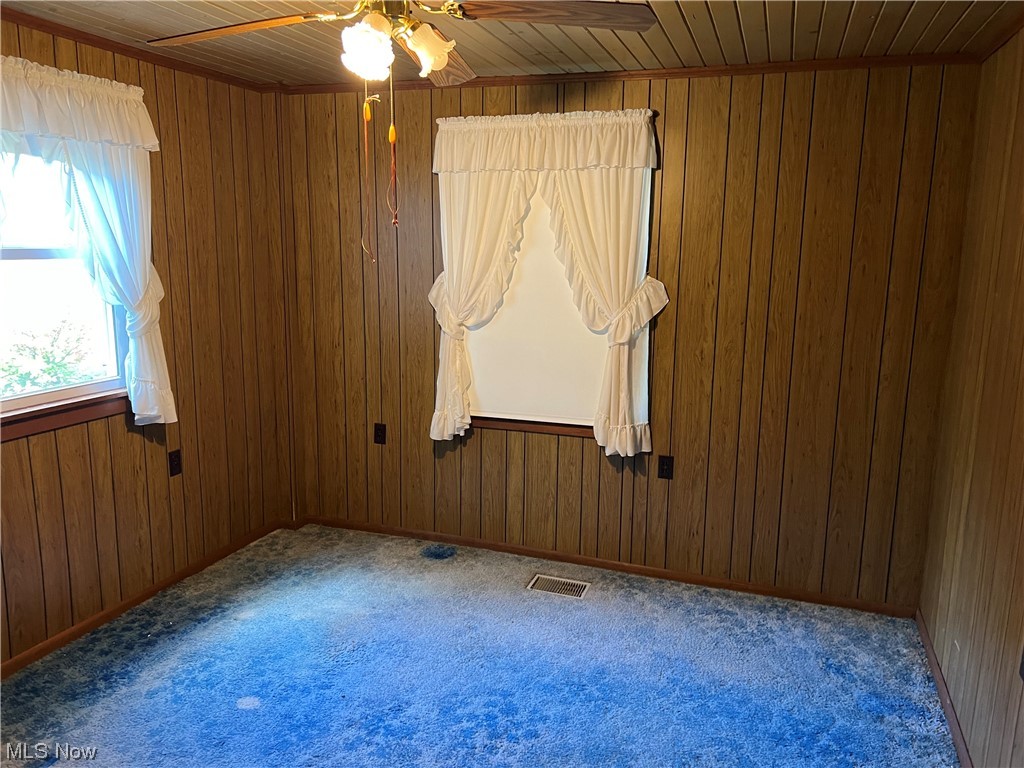 11178 Simcox Road Homerville, OH 44235 - Photo 12 of 17 Spare room with carpet, ceiling fan, wood ceiling, and wooden walls