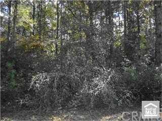 0 Paved Road Inverness, FL 34450 - Photo 1 of 1 Partially wooded lot in Inverness Village development, Citrus County