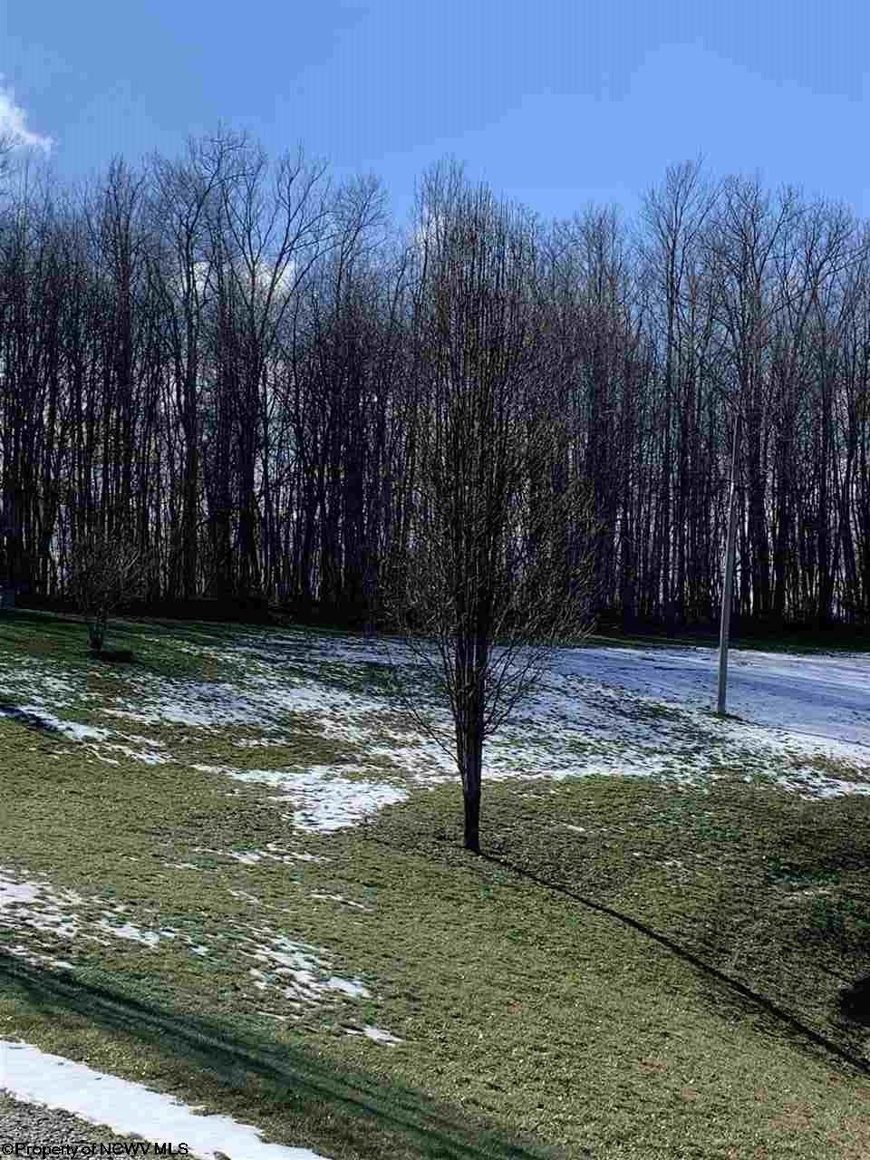 133 Ridgeview Lane Buckhannon, WV 26201 - Photo 1 of 8 Gallery Image 1