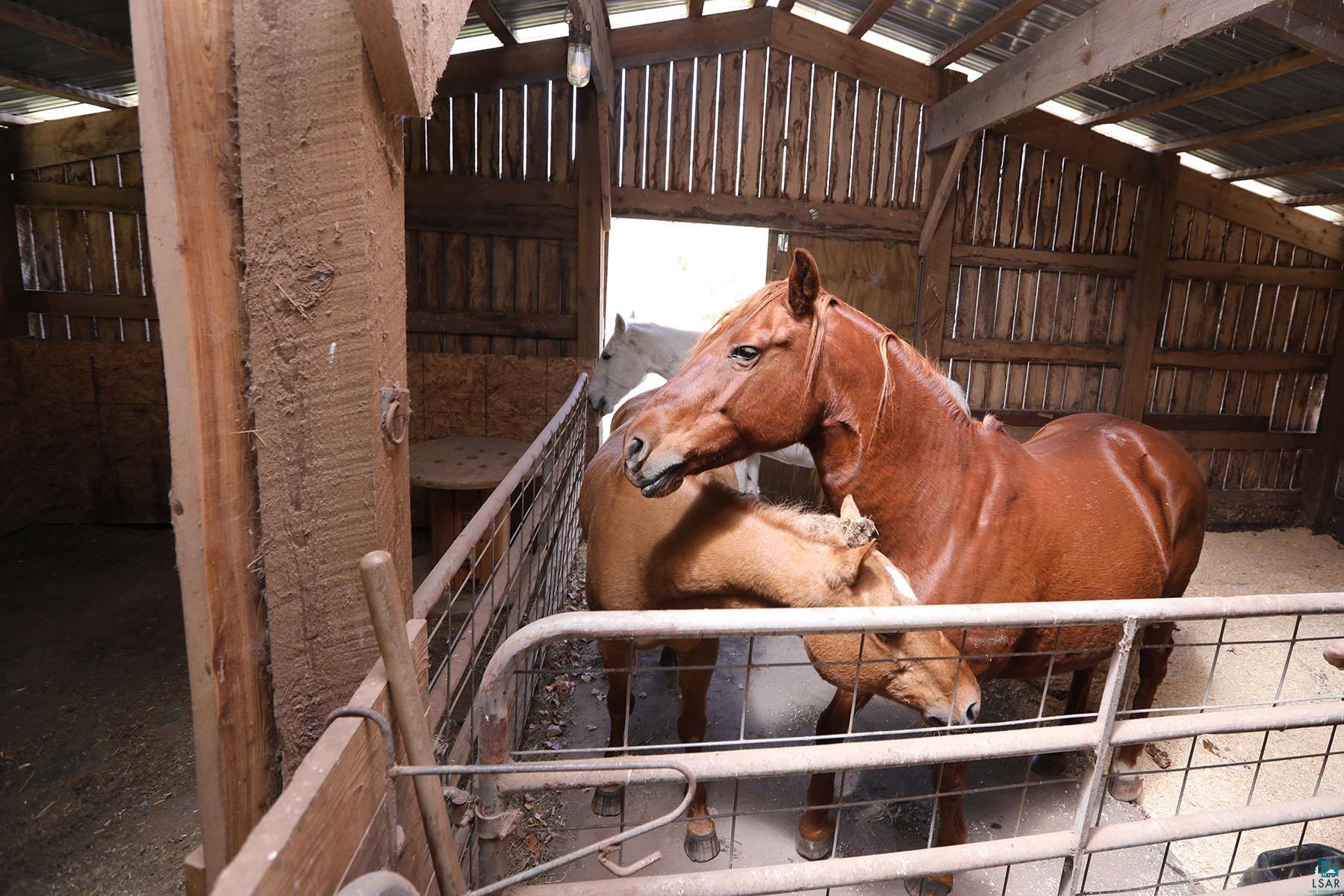 53253 West Grindstone Road Sandstone, MN 55072 - Photo 19 of 54