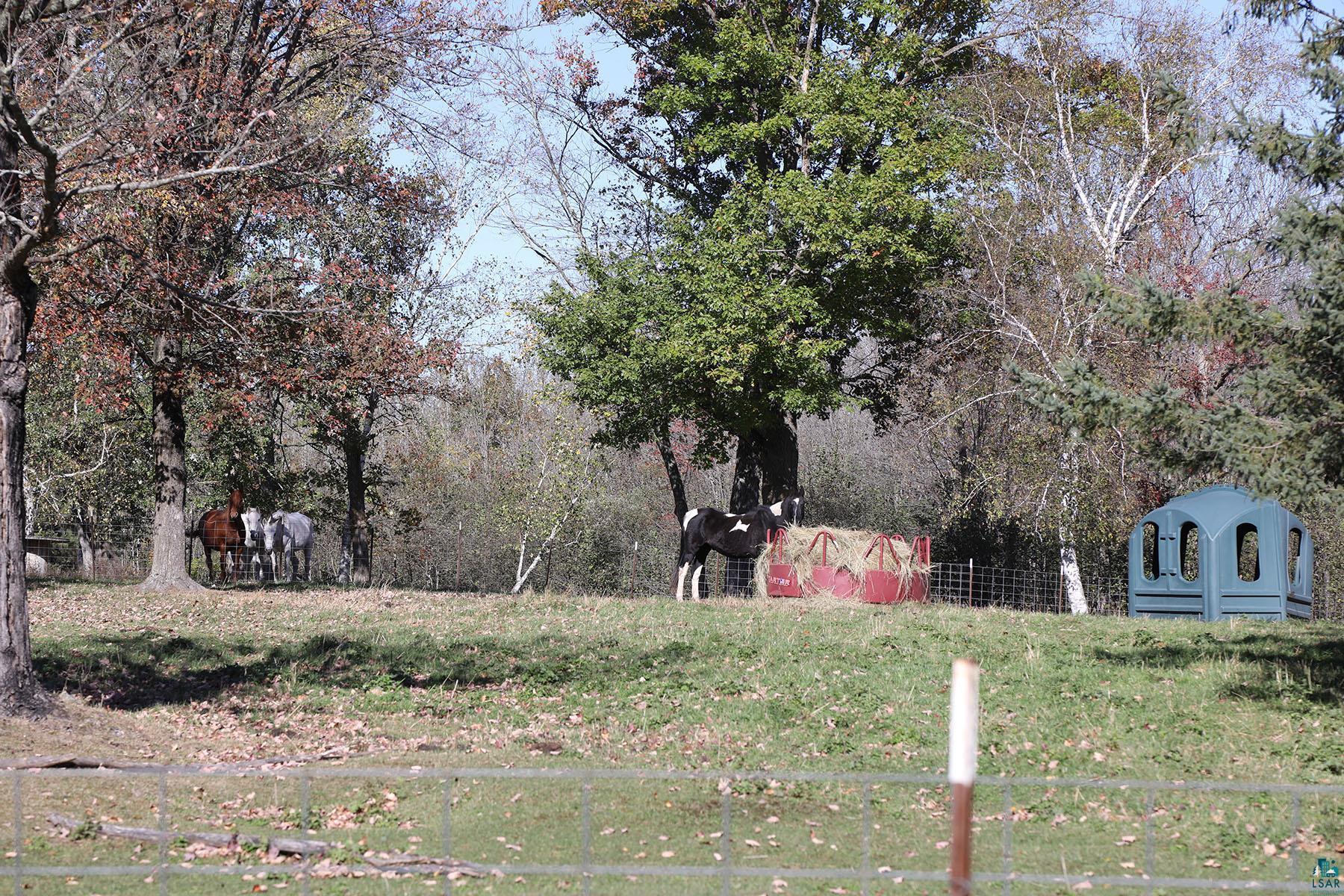 53253 West Grindstone Road Sandstone, MN 55072 - Photo 24 of 54