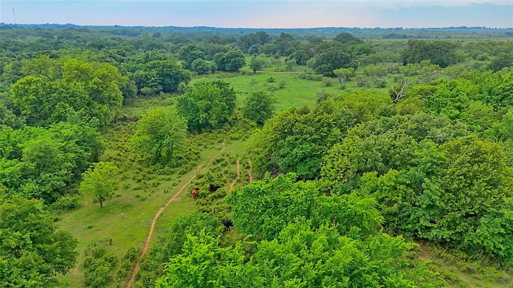 Tbd Tbd Cardwell Road Nocona, TX 76255 - Photo 28 of 30