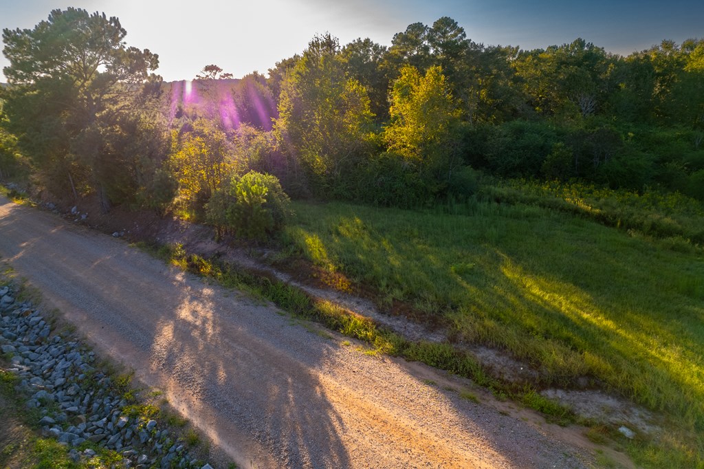 2226 Randall Wade Road Headland, AL 36345 - Photo 21 of 60