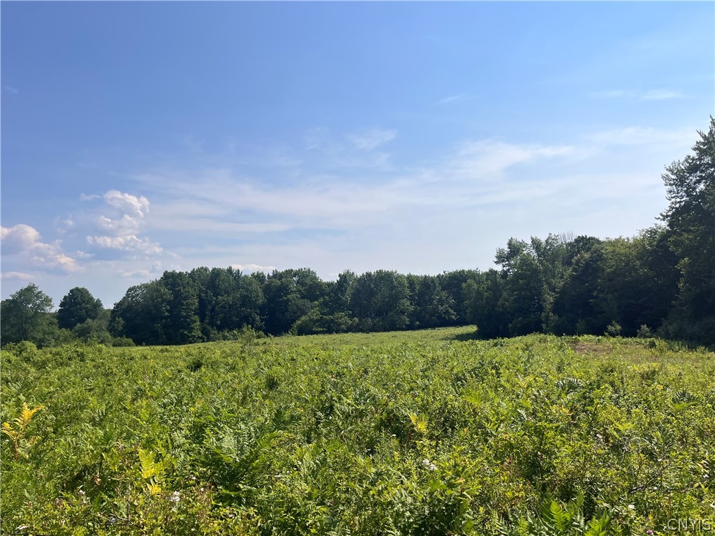 Center Road Lacona, NY 13083 - Photo 14 of 38