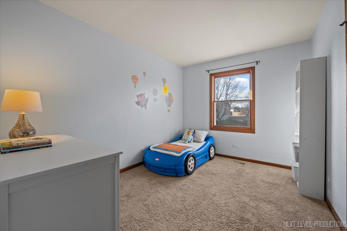 219 Mary Lane Cary, IL 60013 - Photo 13 of 20