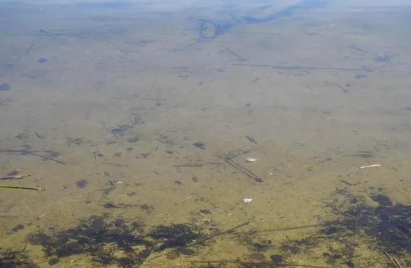 $775,000 | 6420 Birchmont Drive Northeast, Bemidji, MN 56601