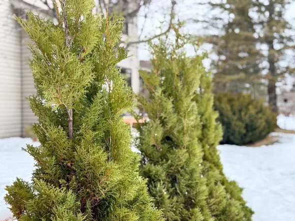 $775,000 | 6420 Birchmont Drive Northeast, Bemidji, MN 56601