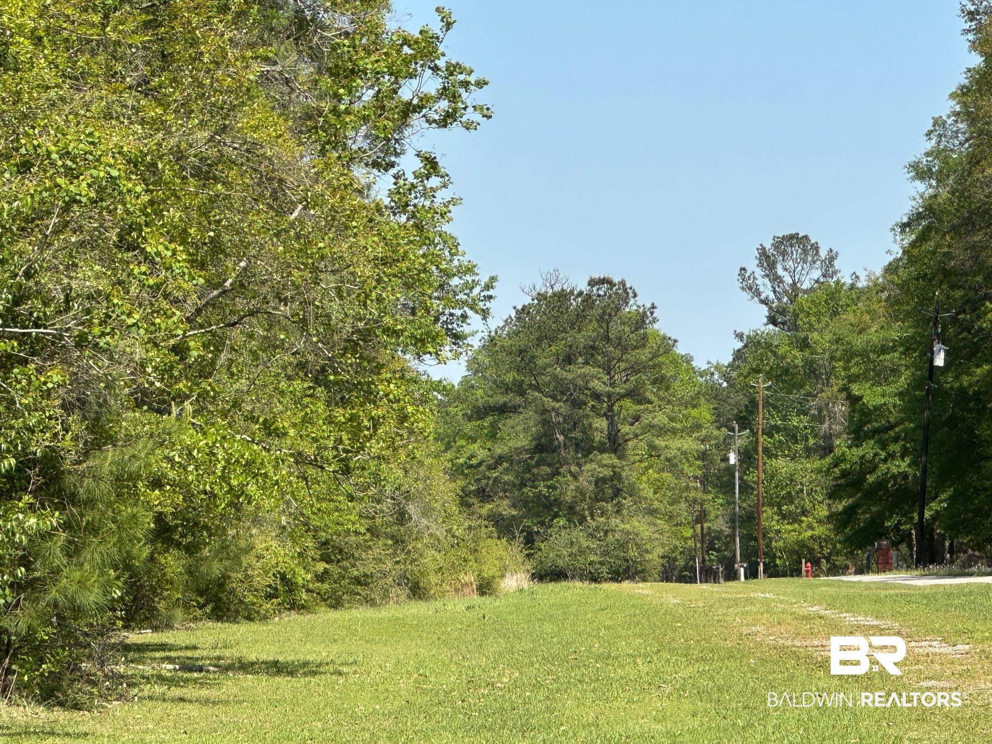 0 I-65 Service Road Satsuma, AL 36572 - Photo 11 of 27 View of home's community with a lawn and a forest view