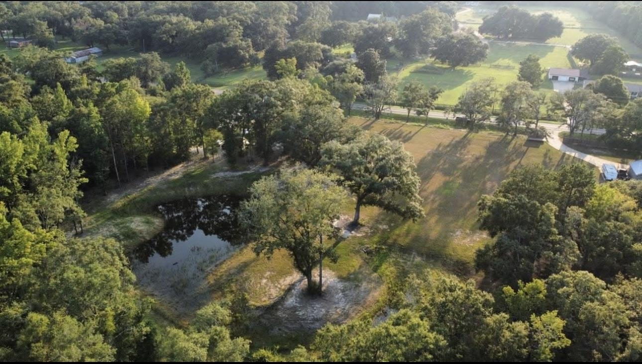 286 Dead Lake Road Creola, AL 36525 - Photo 1 of 5 Aerial View