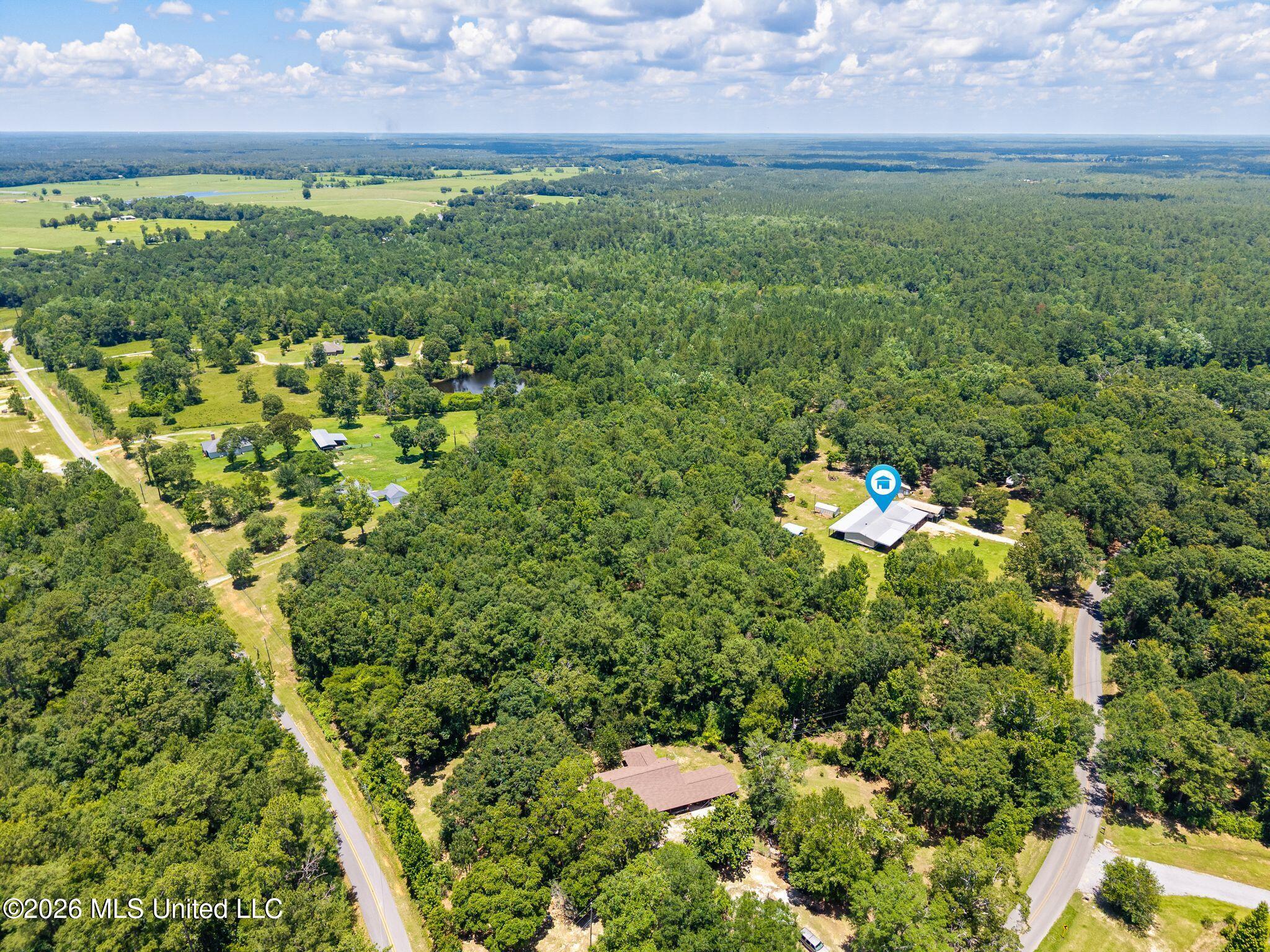 8360 Cuevas Town Road Picayune, MS 39466 - Photo 33 of 34 8360_Cuevas_Town_Rd-45