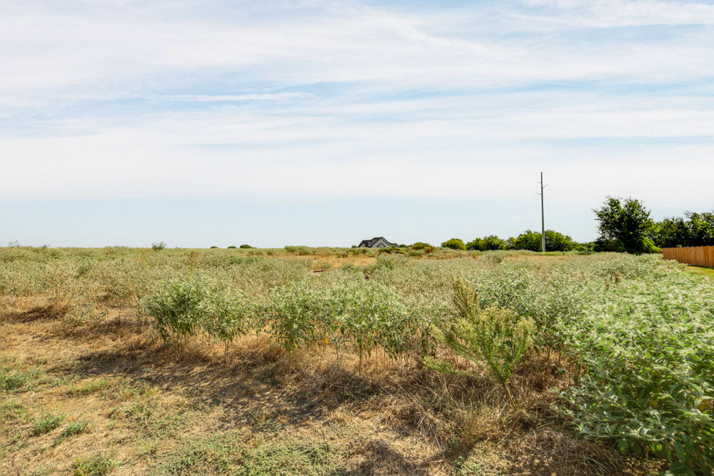 4555 Ruger Way Bryan, TX 77808 - Photo 1 of 10 Gallery Image 1