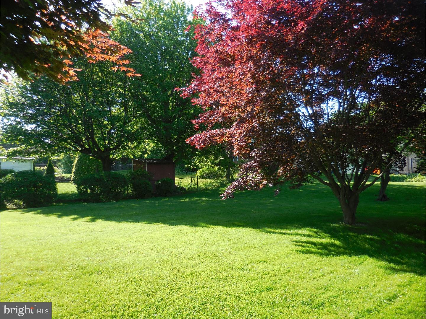 324 Pinecrest Road Springfield, PA 19064 - Photo 18 of 18 View in Back