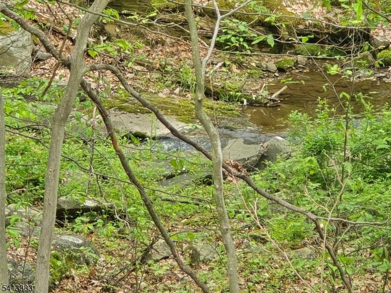 20 Wishing Well Road Blairstown, NJ 07832 - Photo 3 of 21