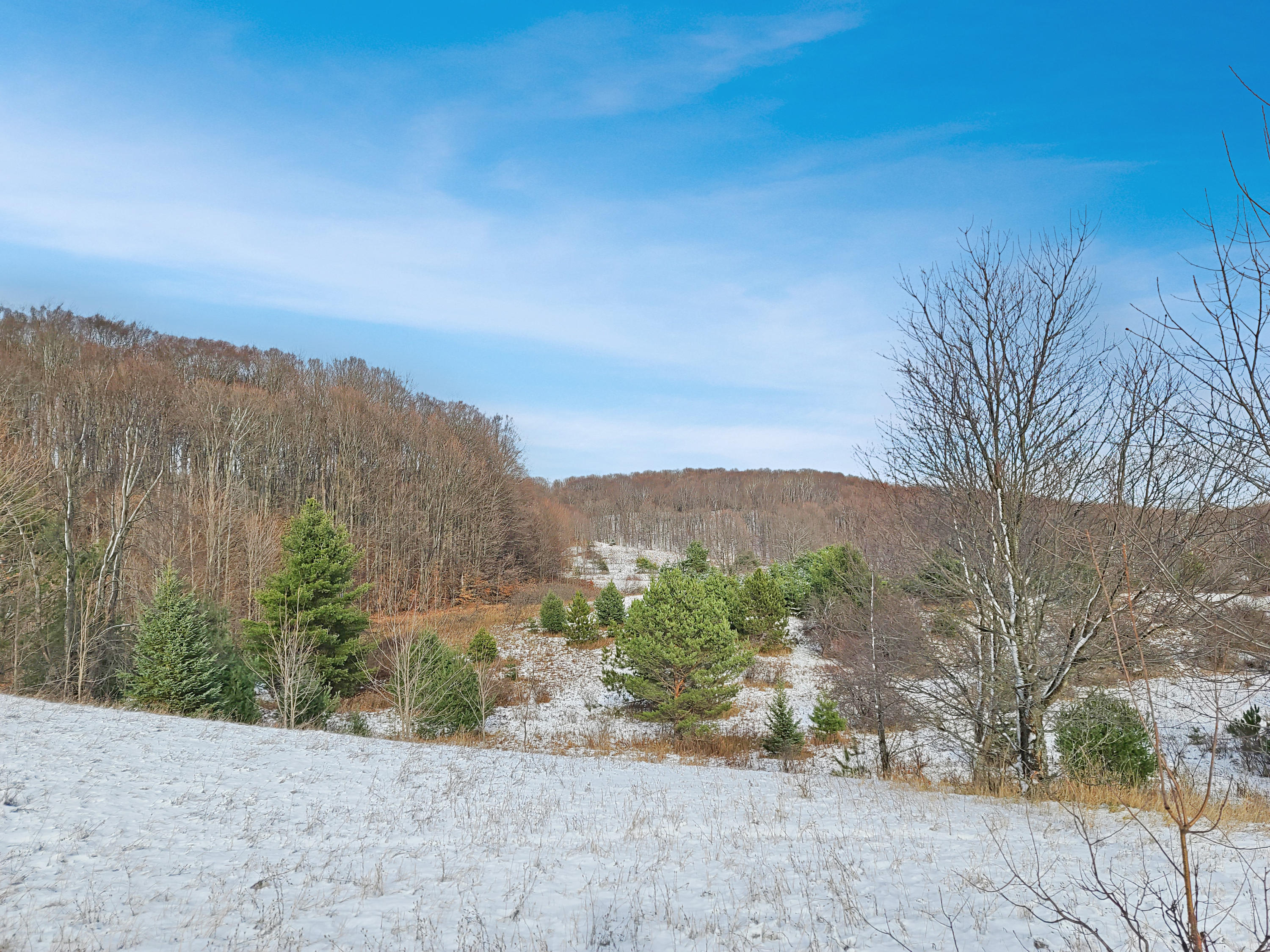 Poquette Road Gaylord, MI 49735 - Photo 10 of 14 Gallery Image 10
